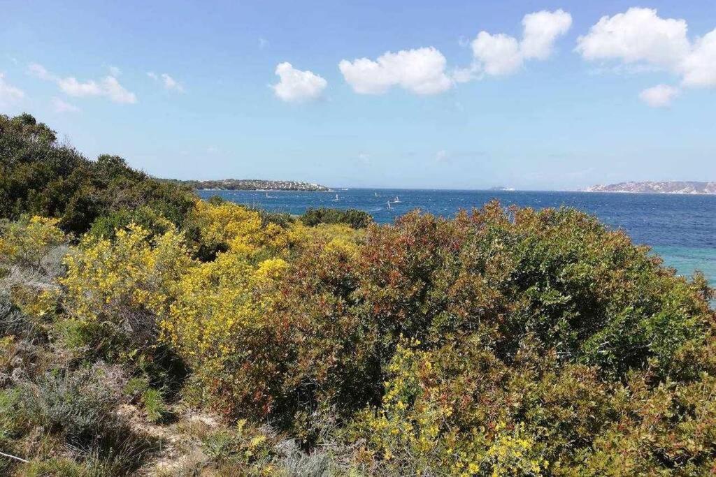 Casa Di Lu' - Bilocale Con Giardino - Porto Pollo Appartement Buitenkant foto